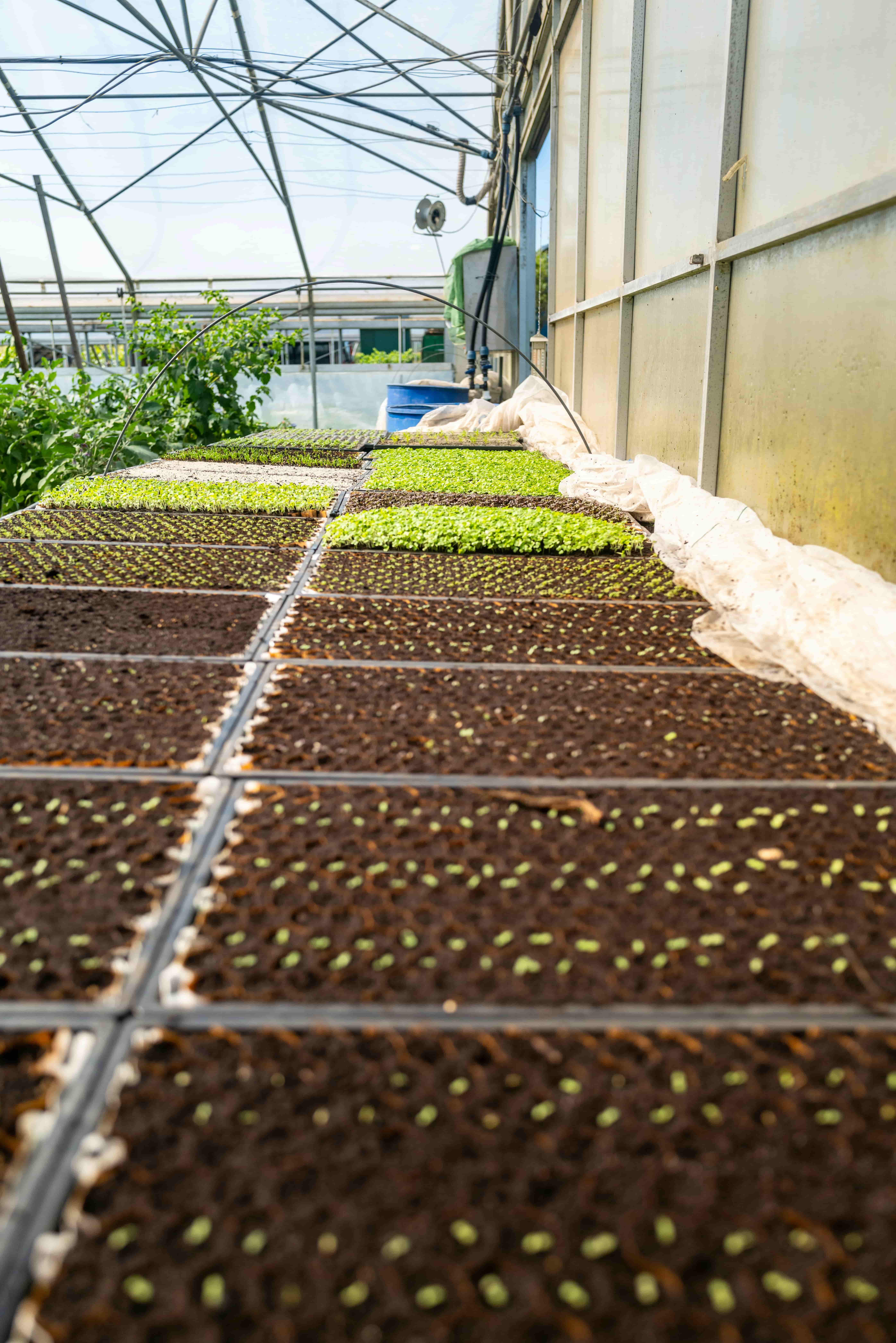 Agro-Food-&-Processing