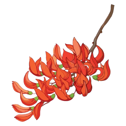 Background Watermark